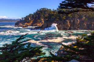 Point Lobos-1869.jpg Point Lobos-1869.jpg